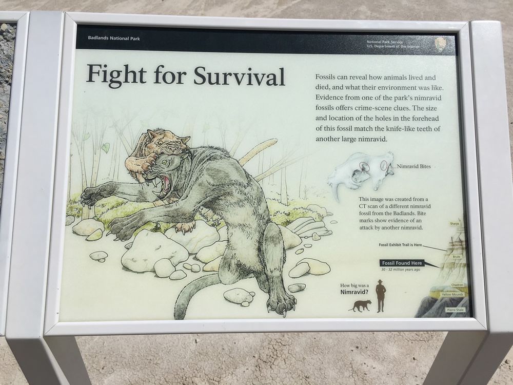 Badlands National Park